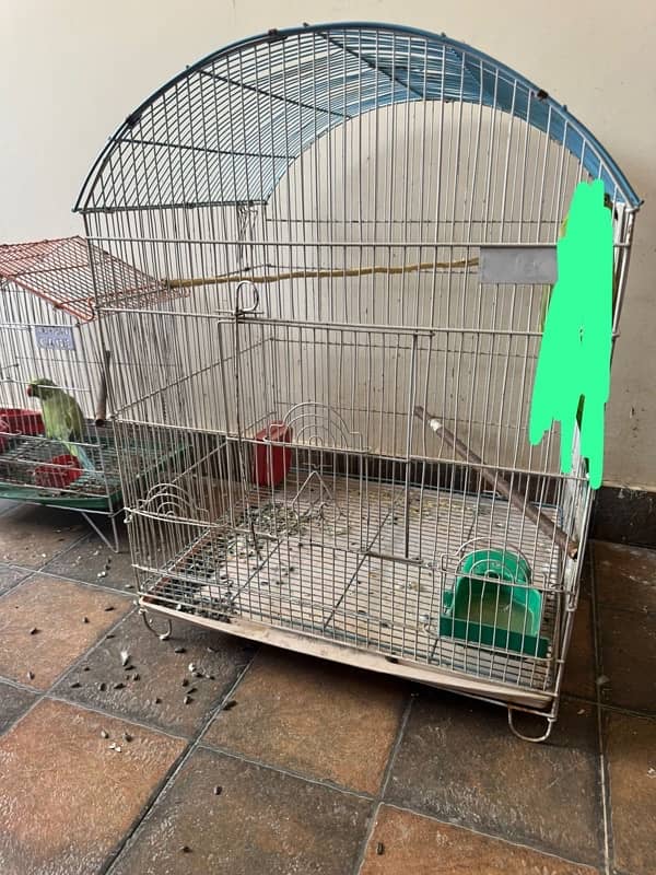 Beautiful Parrot Cage 1