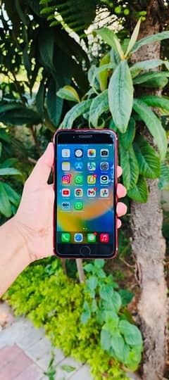 IPHONE 8plus 64GB PTA PROVED