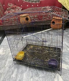 Bird Cage