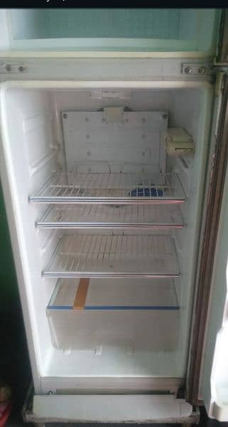 dowlnc fridge 1