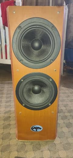 Cypress powered woofer