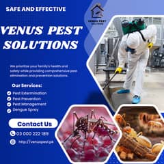 Affordable Mosquito management solutions ,Dengue Spray, Pest control