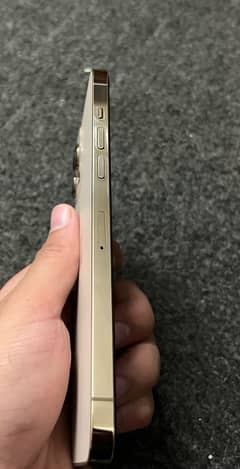 iphone 12 pro max non pta