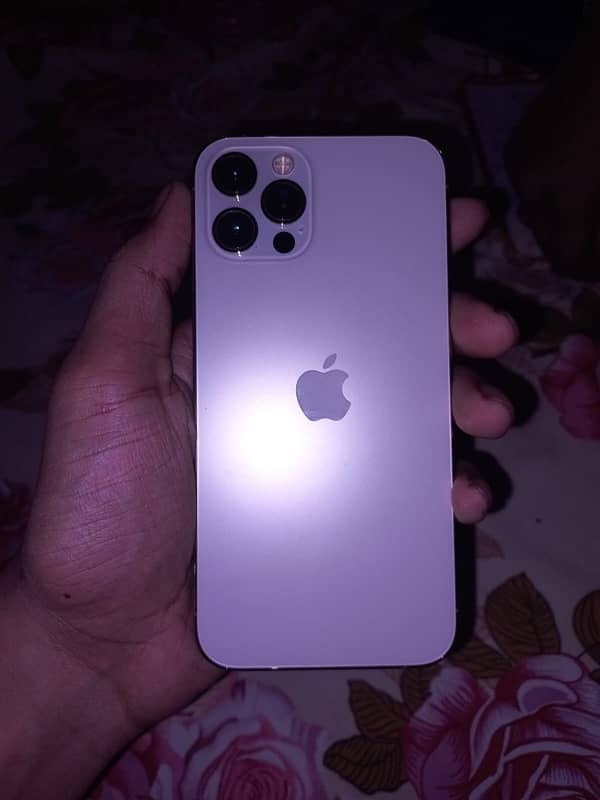 iphone 12 pro nonpta 4