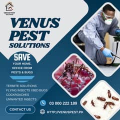 Commercial pest extermination services in Lahore/Dengue Spray,Pest