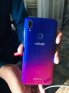 Vivo