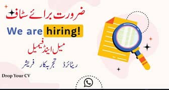 female male staff required online office work