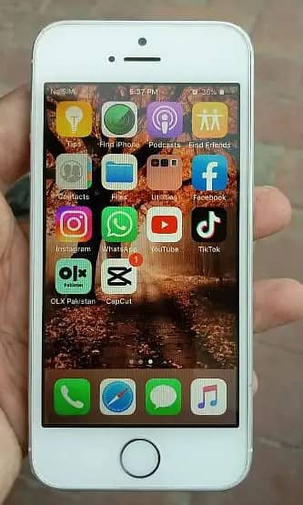 Iphone 5s Non PTA with 16 gb 0