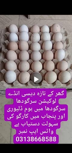 گھر کی مرغیوں کے فریش دیسی انڈے اور فرش نیو انڈے والی مرغیاں