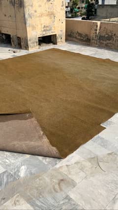 12x16 ft carpet, 7/10 condition