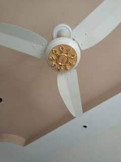 02 roof fans