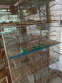 folding cage 12 portion
