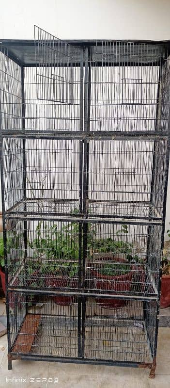 2 cages for hens/birds 4