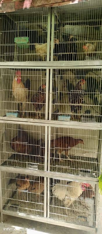 2 cages for hens/birds 1