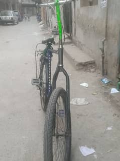 bicycle phonix