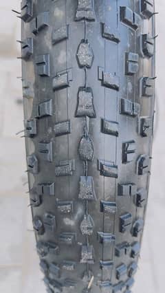 fat tyre cycle