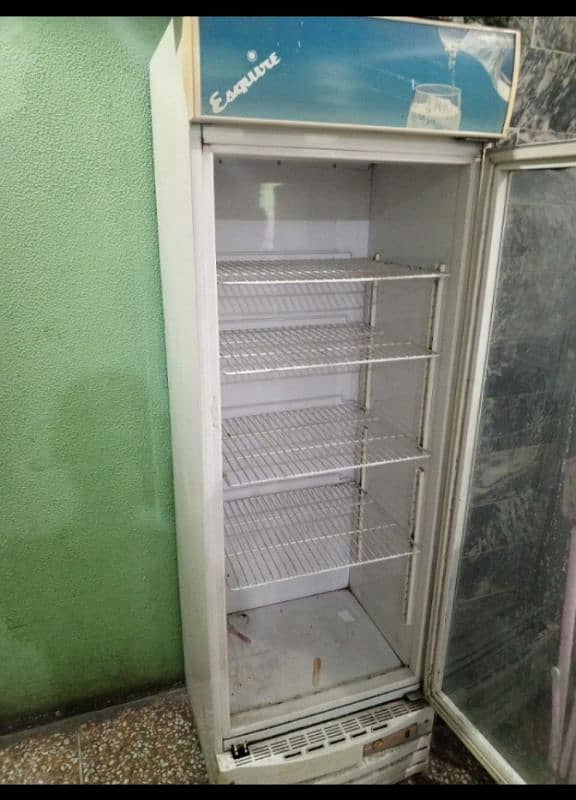 Esquire chiller fridge available 2