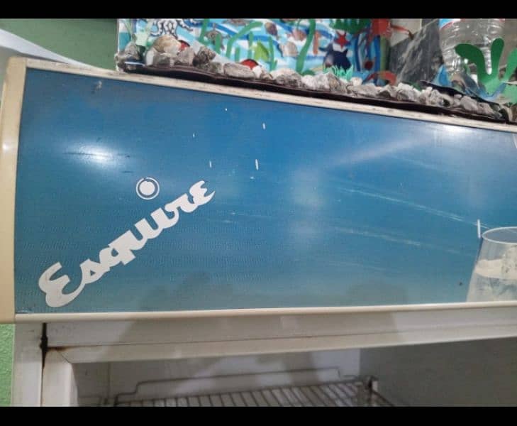 Esquire chiller fridge available 7