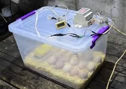 40-50 egg incubator