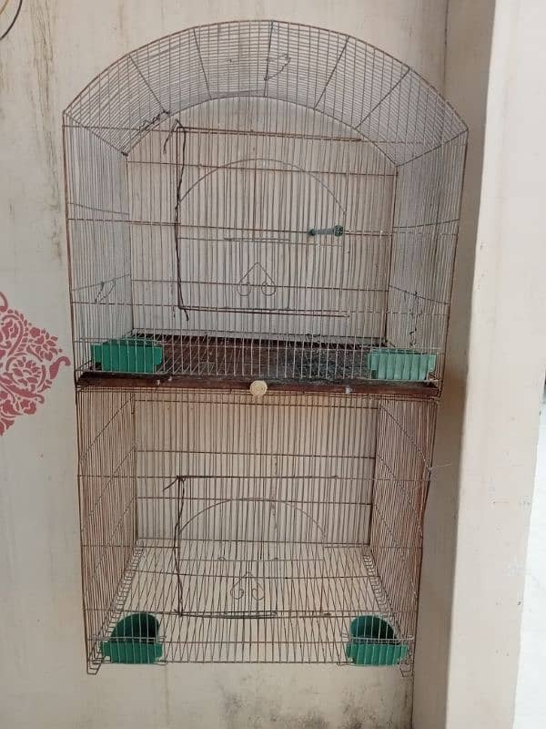 cage , ringneck and budgies 0