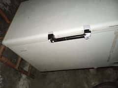 Haier Freezer