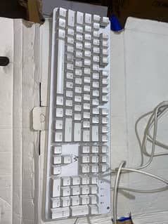 white mechanical keyboard blue switches