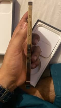 Iphone 13 Pro Max 128 Gb Gold