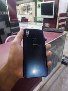 VIVO