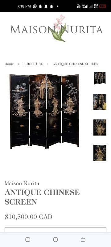 Antique Chinese Partition screen with Mother of pearl Inlay work 1