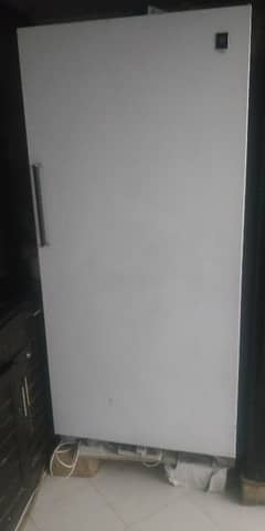 standing deep freezer