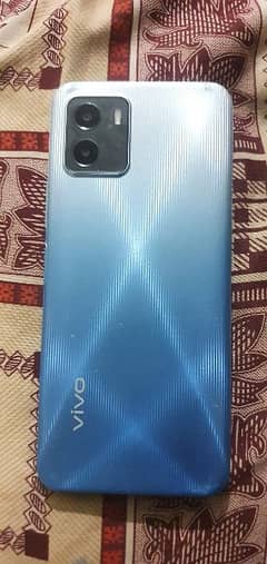 vivo