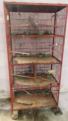 8x portion cage for birds 0