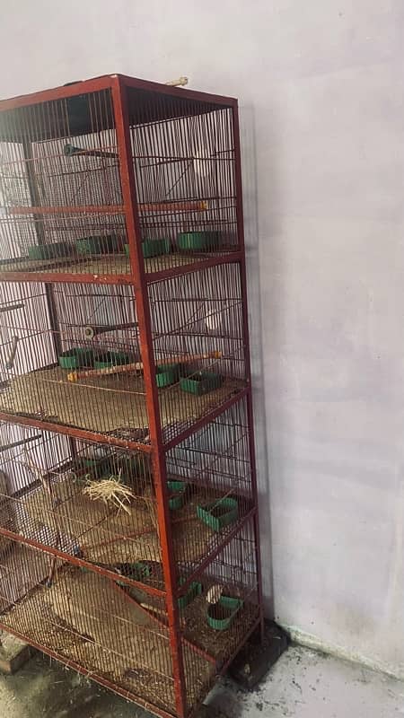 8x portion cage for birds 1