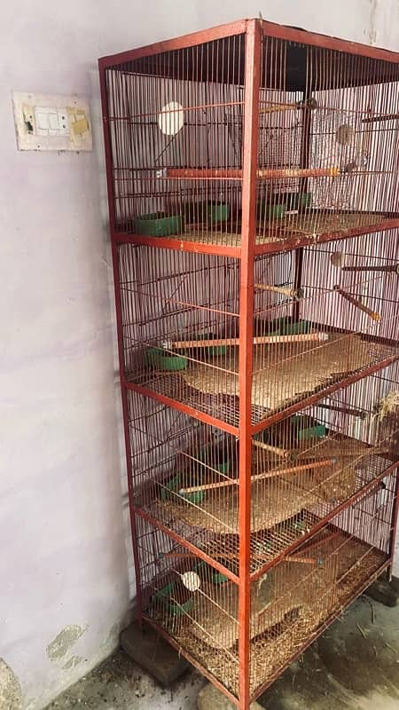 8x portion cage for birds 2