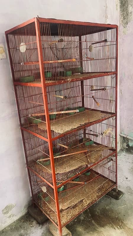 8x portion cage for birds 3