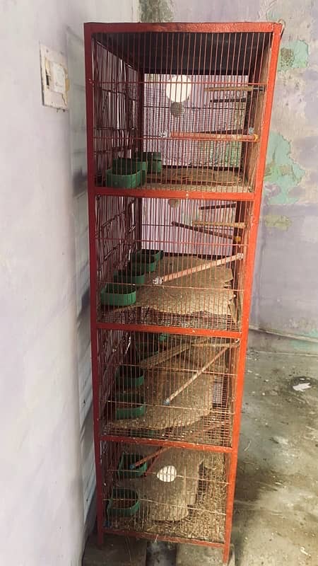 8x portion cage for birds 4