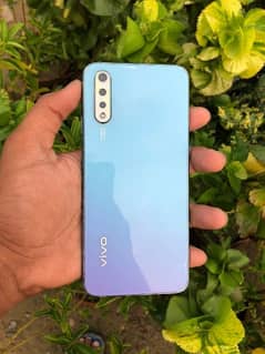 vivo s1 8 / 256memory