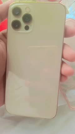 i phone 12 pro golden coolr 0