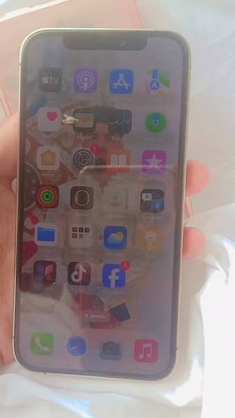 i phone 12 pro golden coolr 2