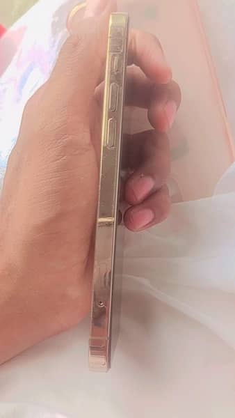 i phone 12 pro golden coolr 5