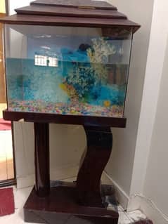 fish aquarium in excellent condition