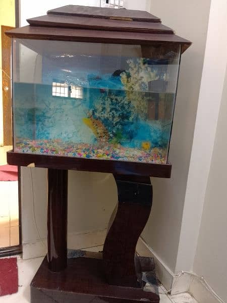 fish aquarium in excellent condition 1