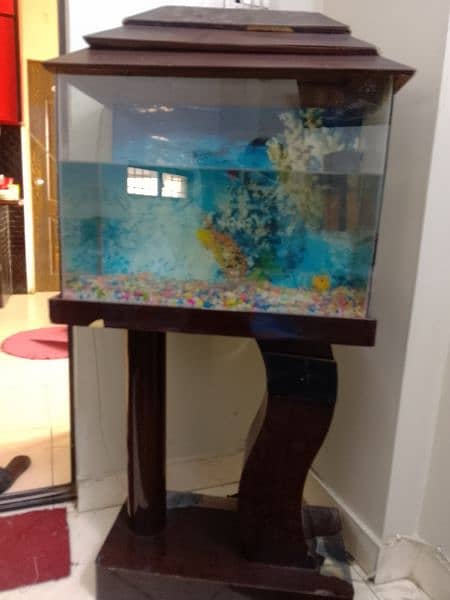 fish aquarium in excellent condition 2