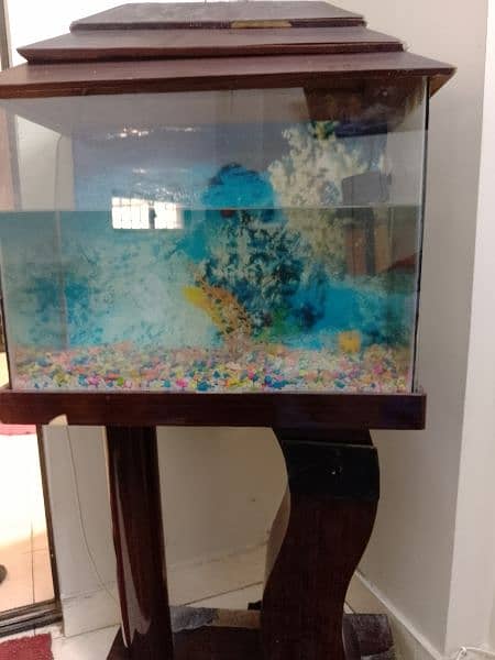 fish aquarium in excellent condition 3