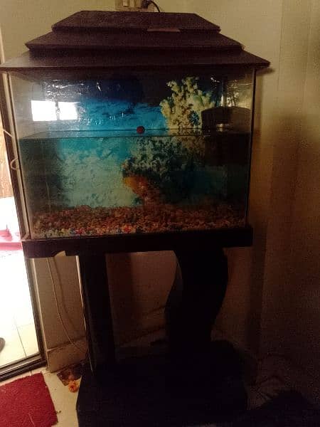 fish aquarium in excellent condition 4