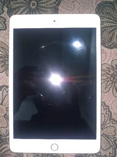 Ipad Mini 5