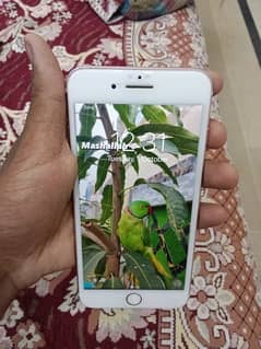 iPhone 7plus pta approved 256gb 03111265926