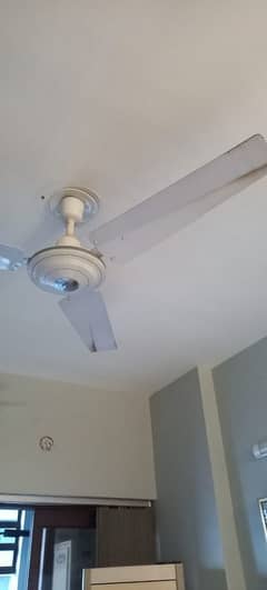 used Fans