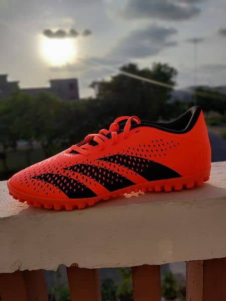 Adidas Predator Accuracy 1