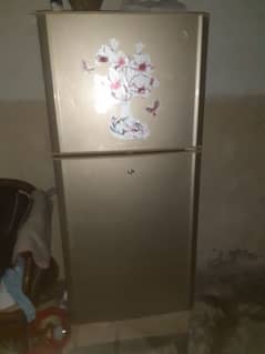 Pel fridge sale only 50,000